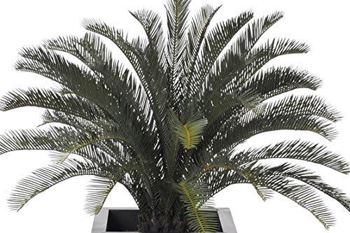 Artificial Sago Palm Silk Plant in Black Zinc Vase - Realistic Fake Tropical Plant for Home Office Decor, Wedding Centerpiece & Indoor Greenery