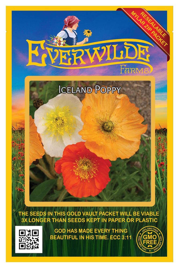 Everwilde Farms - 2000 Iceland Poppy Native Wildflower Seeds (Papaver nudicaule) - Gold Vault Jumbo Seed Packet for Gardening, Landscaping & Pollinator Gardens