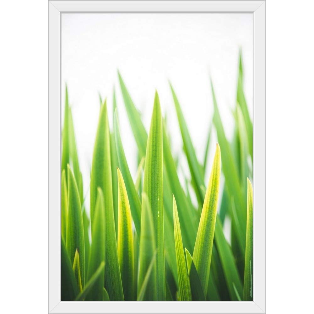 Blades of Green No. 2 White Framed Art Print - Nature Photography Wall Decor for Living Room, Bedroom & Office - Modern Botanical Leaf Artwork