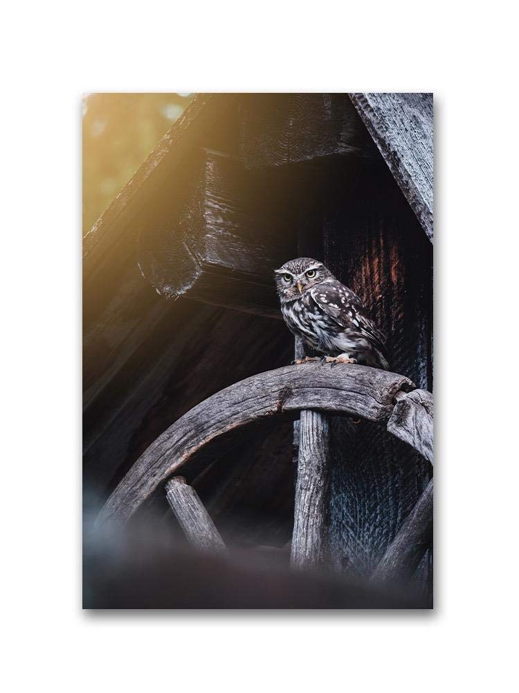 Owl Sitting On A Wooden Wheel Poster - Vintage Nature Wall Art Decor for Living Room, Bedroom & Office