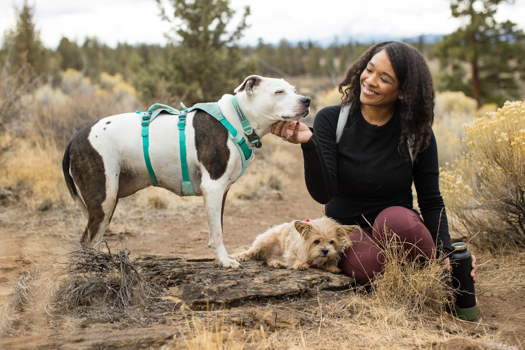 Ruffwear Flagline Harness® Multi-Use Dog Harness in Mint Green (Sage Green) - Adjustable Reflective Vest for Hiking, Running & Outdoor Adventures
