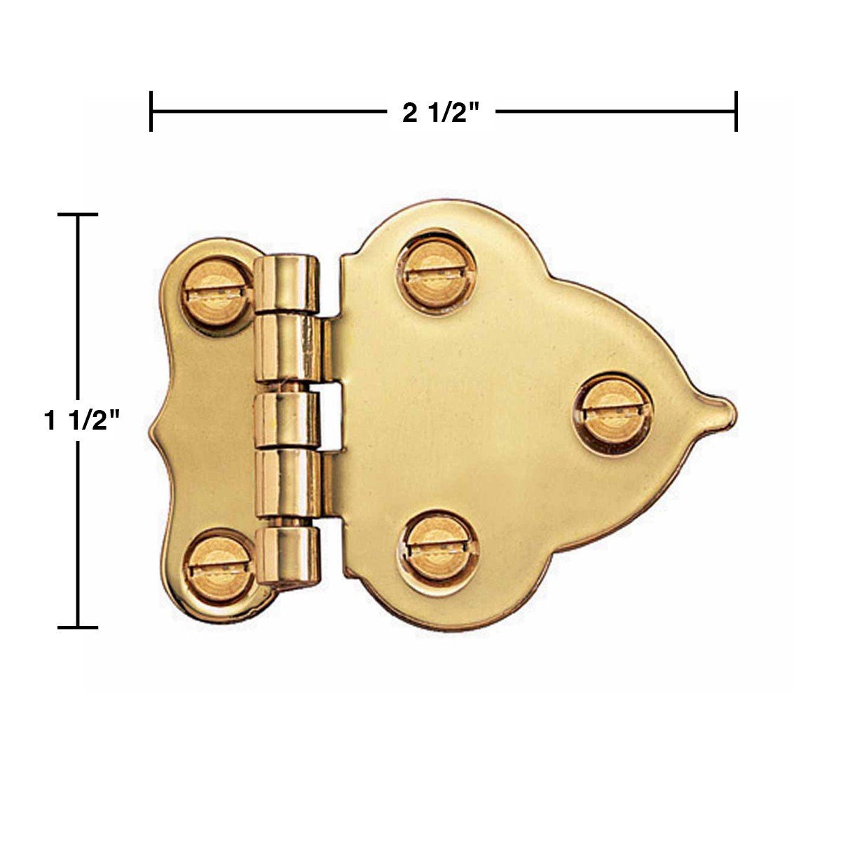 Renovators Supply Hoosier Solid Brass Cabinet Hinge - 3/8