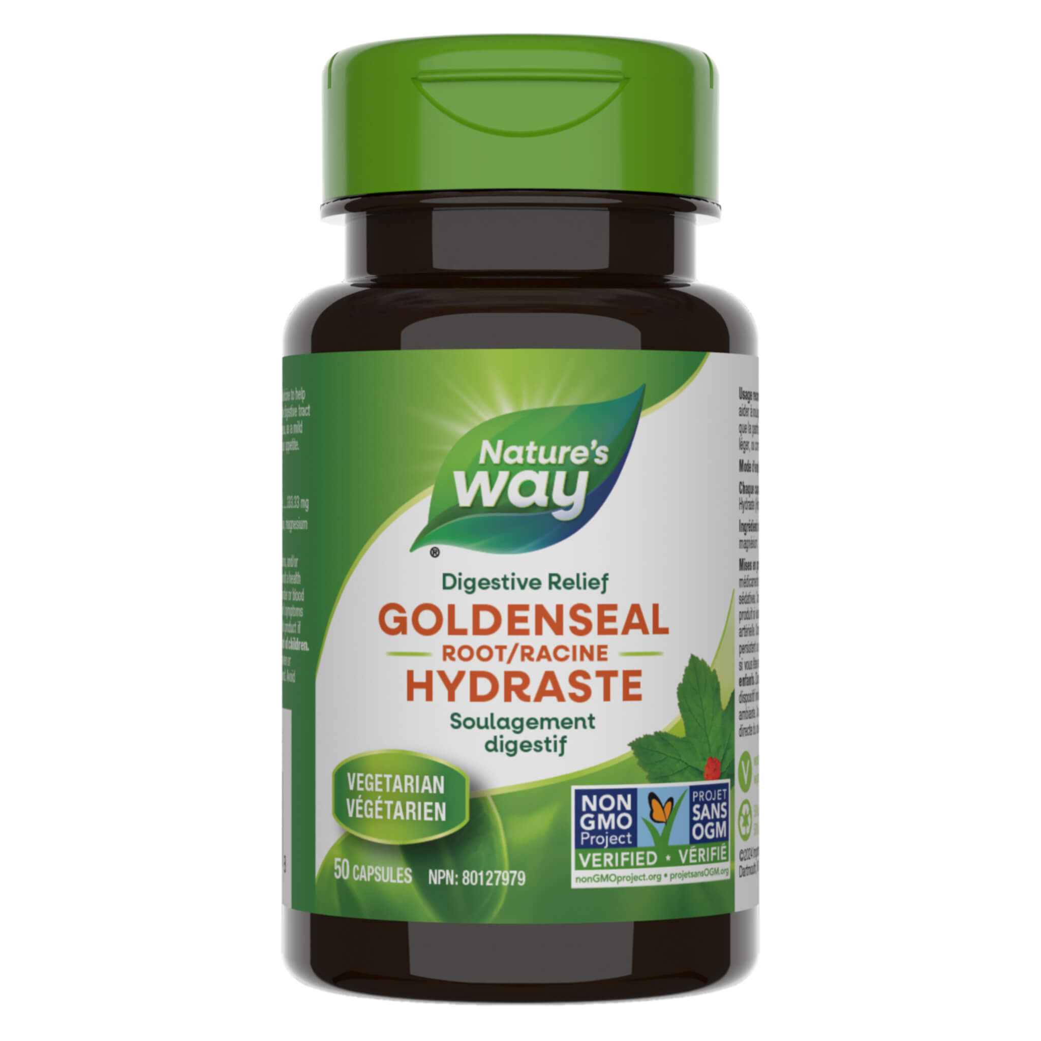 Organic Goldenseal Root Powder - Premium Quality Herbal Supplement for Immune Support & Digestive Health | Natural Remedy for Cold, Flu & Infections | Perfect for Tea, Tinctures & DIY Skincare