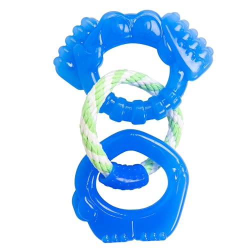 Dentalinks