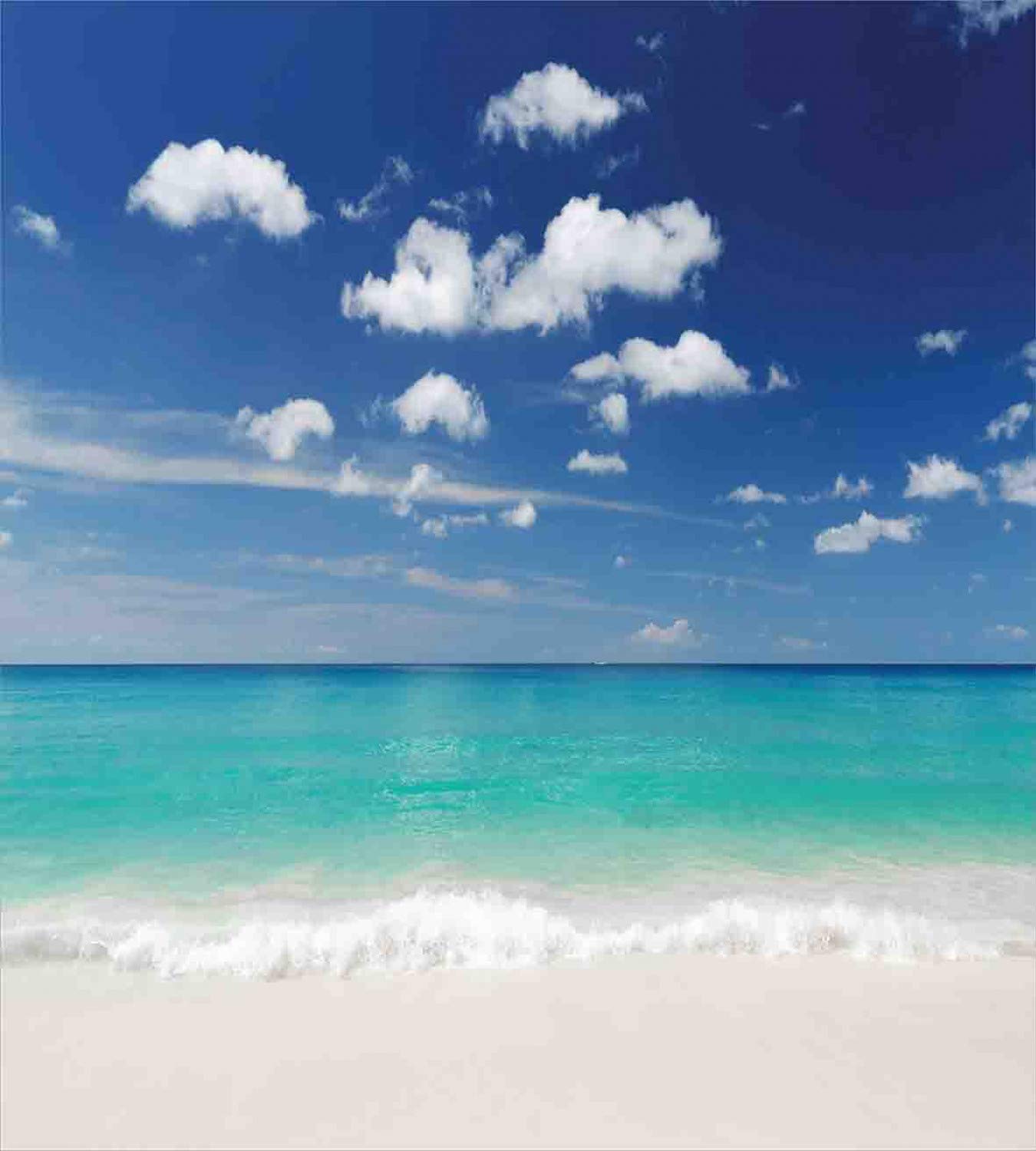 Ambesonne Tropical Duvet Cover Set - Summer Beach Coastal Theme with Sky & Ocean Design, 2-Piece Twin Size Bedding Set (2 Duvet Covers + 2 Pillowcases) in Blue Turquoise White - Perfect for Beach House Decor, Vacation Rental, or Tropical Bedroom Makeover
