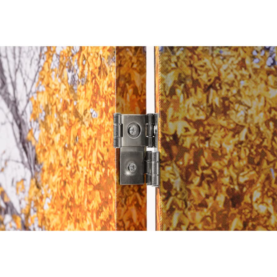 Legacy Decor 4-Panel Room Divider Privacy Screen - Double-Sided New York Central Park Bow Bridge Print - Perfect for Home Office, Bedroom Partition & Indoor/Outdoor Use