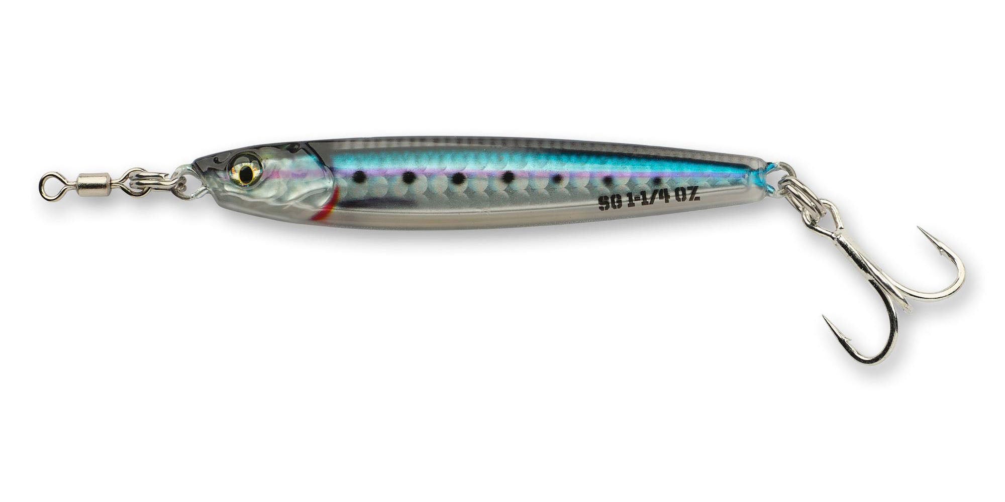 Sardine