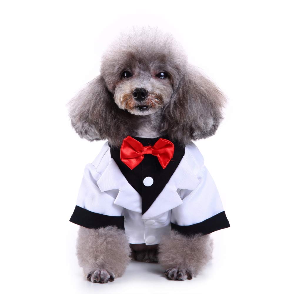 Dog Reindeer Sweaters - Christmas Pet Clothes for Small Dogs & Cats | Cozy Holiday Outfits for Winter & New Year Celebrations
