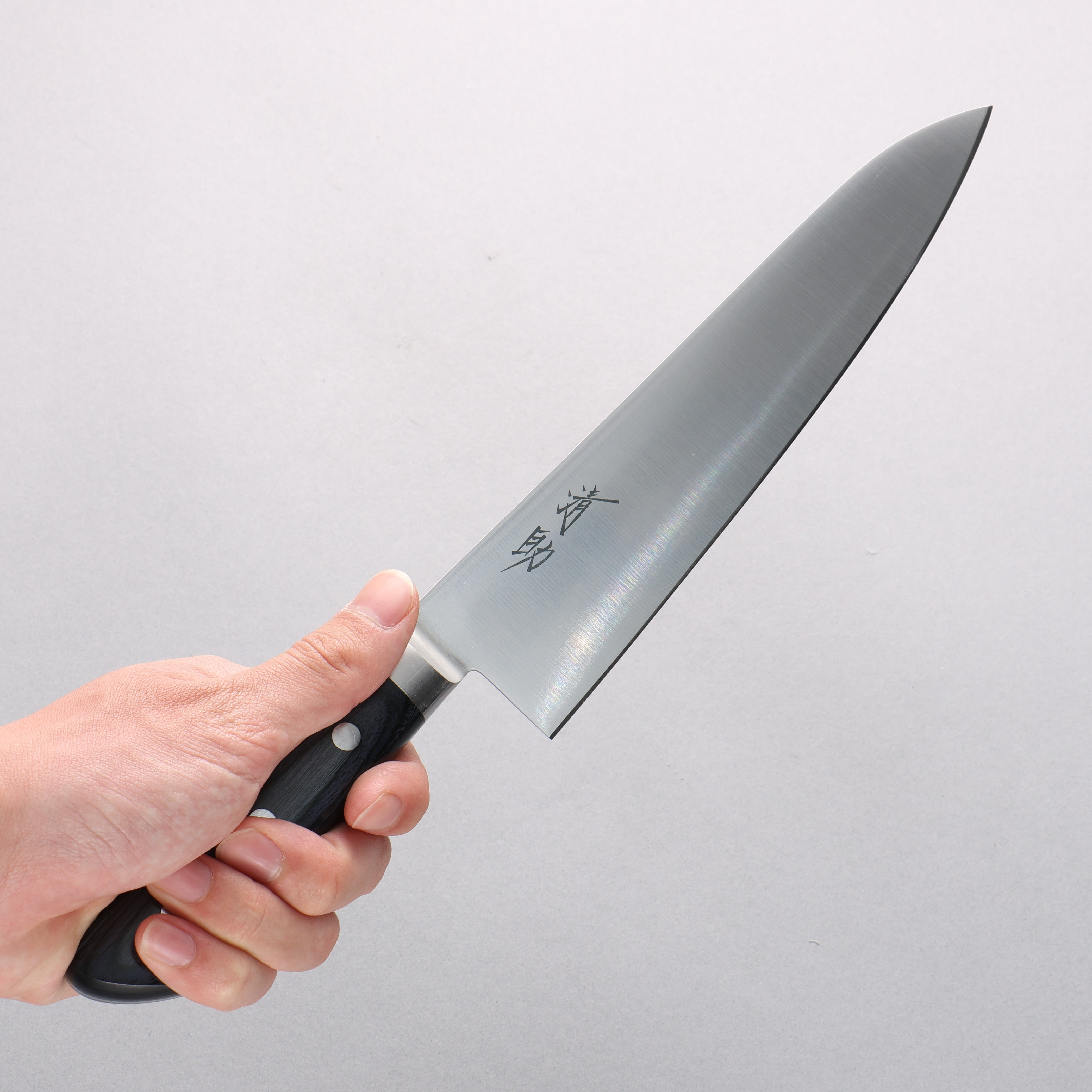 Premium Seisuke Seiten Molybdenum Gyuto Chef Knife 210mm - Japanese High-Carbon Stainless Steel Blade with Navy Blue Pakka Wood Handle & Protective Sheath - Ideal for Professional Chefs, Home Cooking, Sushi Preparation, and Meat Cutting
