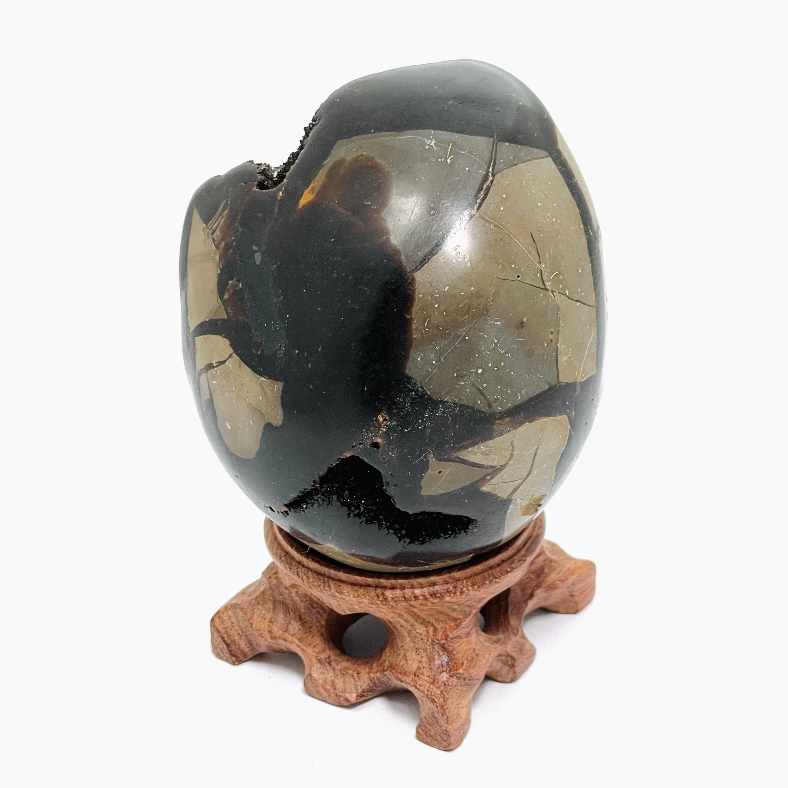Natural Septarian Egg Stone - Unique Healing Crystal for Meditation, Home Decor & Spiritual Gifts | Perfect for Yoga Spaces, Office Desks & Crystal Collections