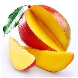 Oregon Fruit Mango Puree 49oz (1.4kg) Pouch - 100% Natural Mango Puree for Smoothies, Baking, Cocktails & Desserts | Gluten-Free & Non-GMO | Perfect for Restaurants, Bakeries & Home Use