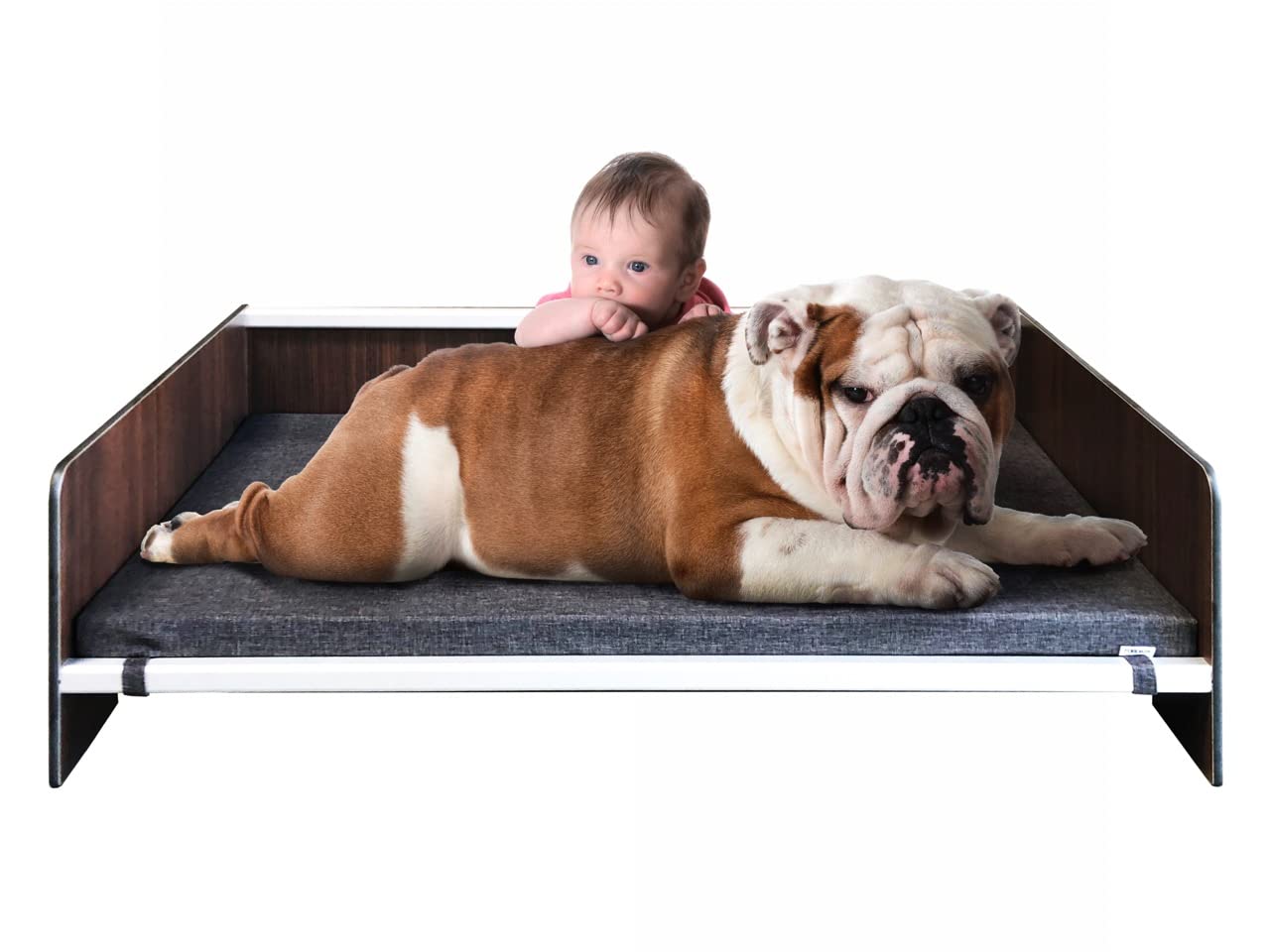 **Waterproof Contemporary Comfort Dog Bed with Backrest - Orthopedic Pet Bed for Dogs & Cats, Durable Compact Laminate & Aluminum Frame, Dark Grey Mattress - Perfect for Indoor, Outdoor & Travel Use**