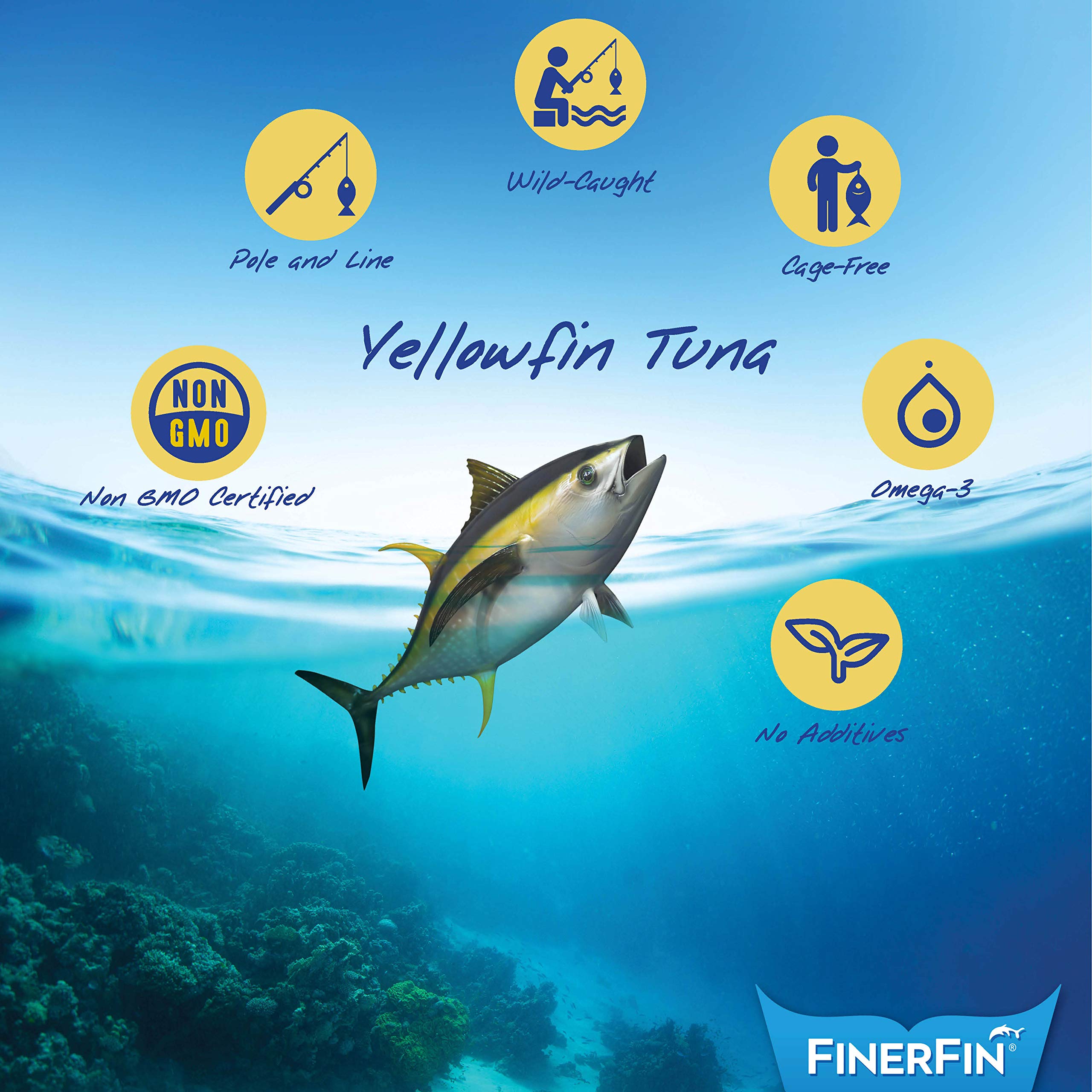 Premium Wild-Caught Yellowfin Tuna in Organic EVOO | Spicy Chili Flavor | Gourmet Canned Tuna Fillets | Ready-to-Eat Meal | 4.4oz Can | Perfect for Salads, Sandwiches & Quick Healthy Lunches