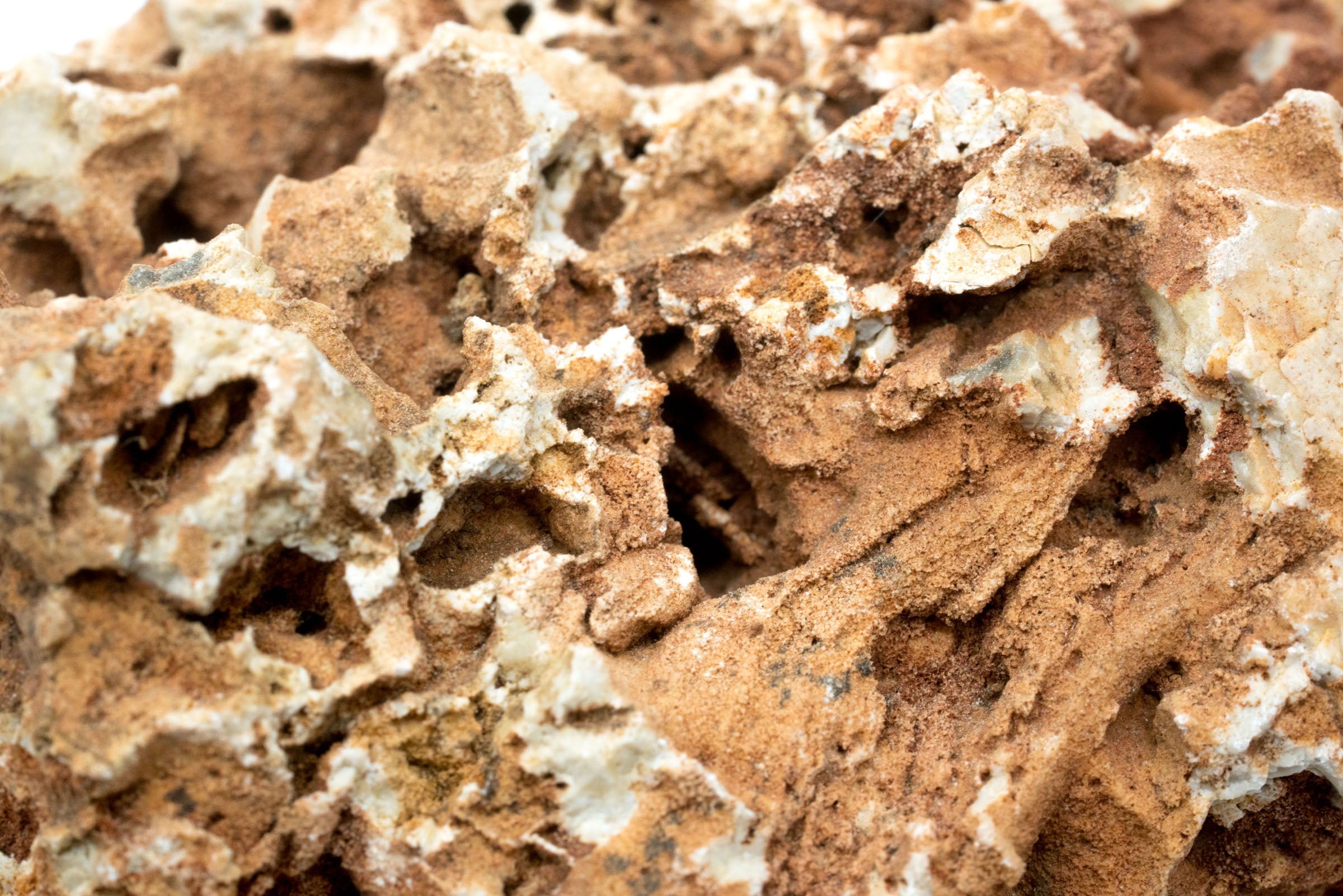 Natural Desert Stone Decor - Unique Handcrafted Home & Garden Accent for Landscaping, Zen Gardens, and Terrariums