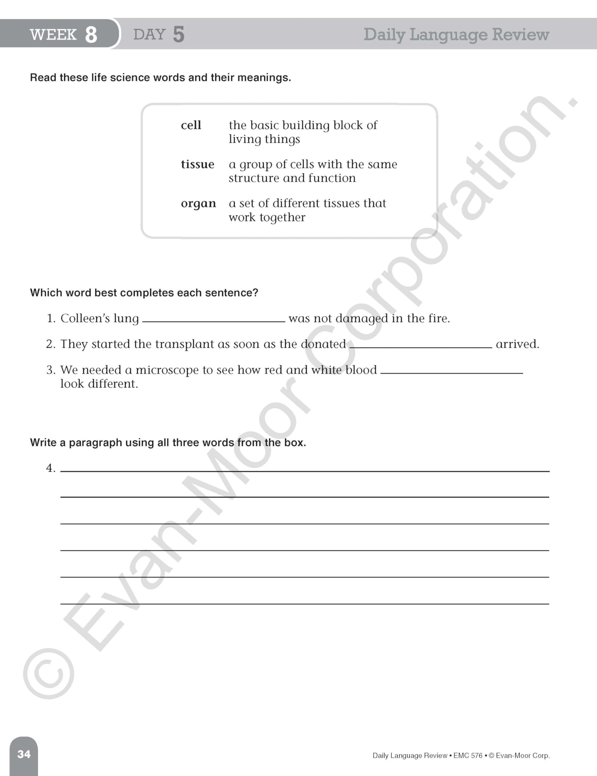 Evan-Moor Daily Language Review Grade 6 Workbook - Homeschool & Classroom Teaching Resource with Reproducible Worksheets, Grammar & Punctuation Practice | Perfect for Daily Skills Assessment, Lesson Plans & ELA Curriculum Support