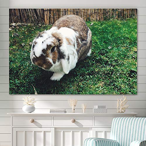 Modern Expressionism Rabbit Canvas Wall Art - 16x24 Inches Multicolor Bunny in Nature Photography for Bedroom Decor, Living Room, Nursery | Relaxing & Calming Animal Print