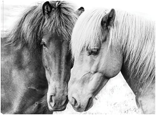 Horse Love