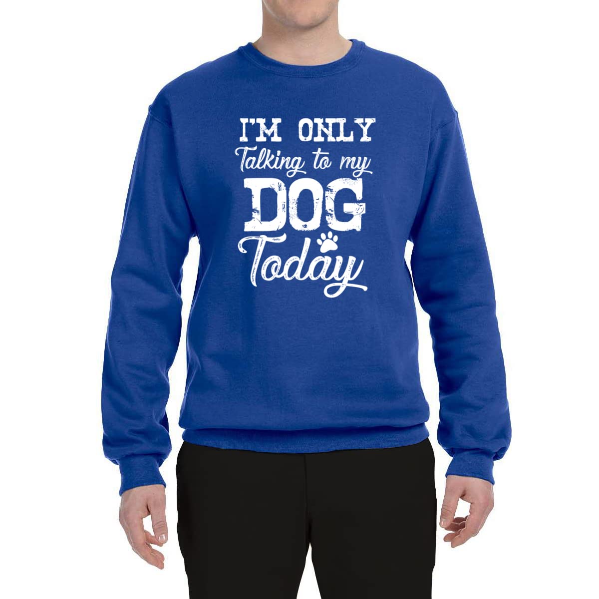 Wild Bobby 'I'm Only Talking to My Dog Today' Funny Dog Lover Graphic Sweatshirt - Unisex Crewneck Pullover for Pet Owners, Casual Wear & Dog Park Outfits