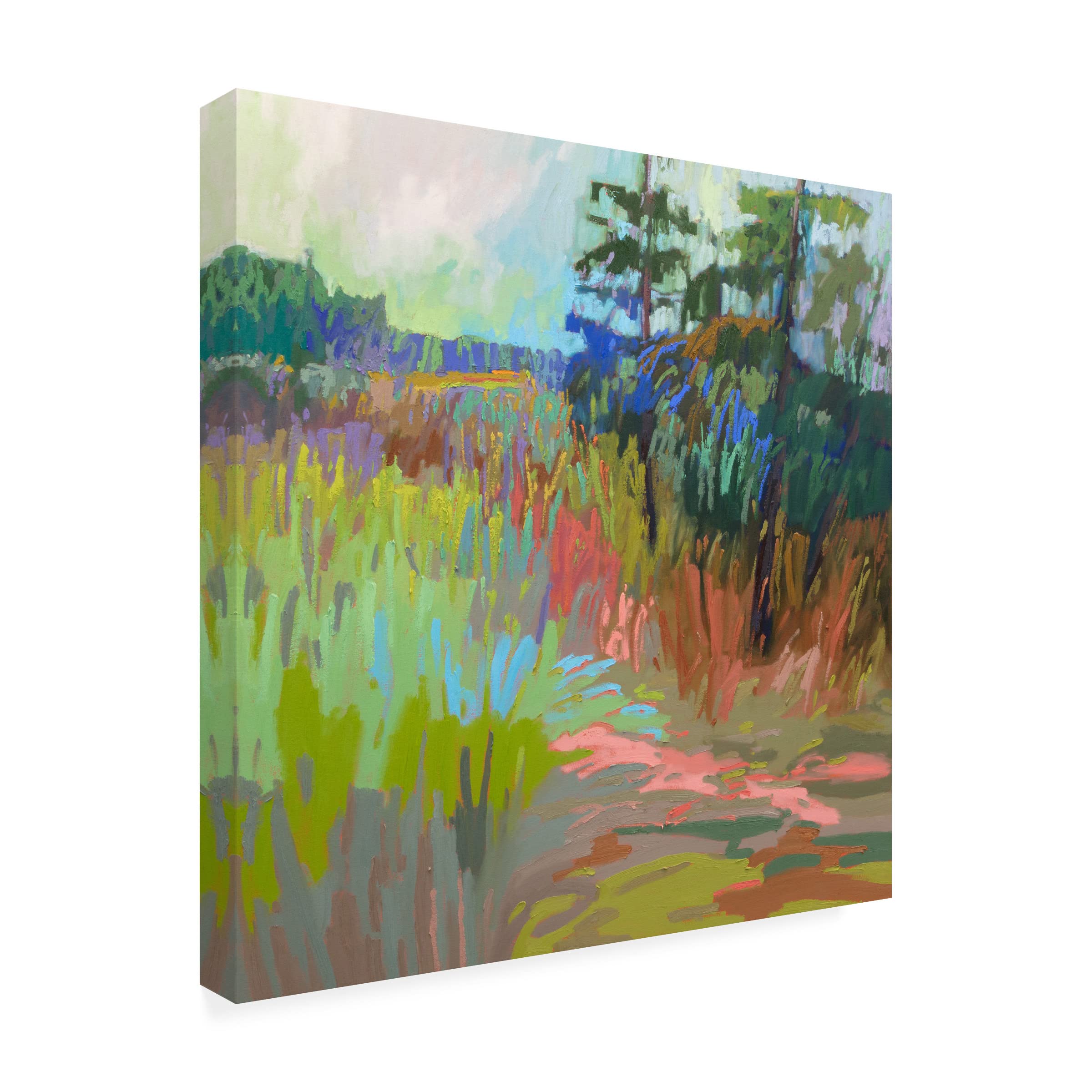 Trademark Fine Art 'Out There' Canvas Wall Art by Jane Schmidt - Modern Abstract Painting for Living Room, Bedroom & Office Decor