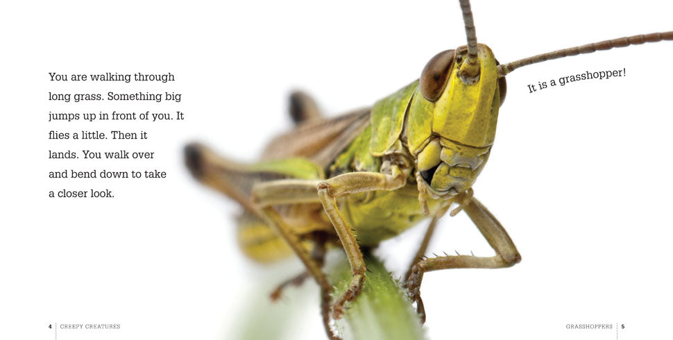 Grasshoppers Book - ISBN 978-1-60818-356-2 | Educational & Nature Study Guide for Kids & Adults | Perfect for Classroom Learning & Outdoor Exploration
