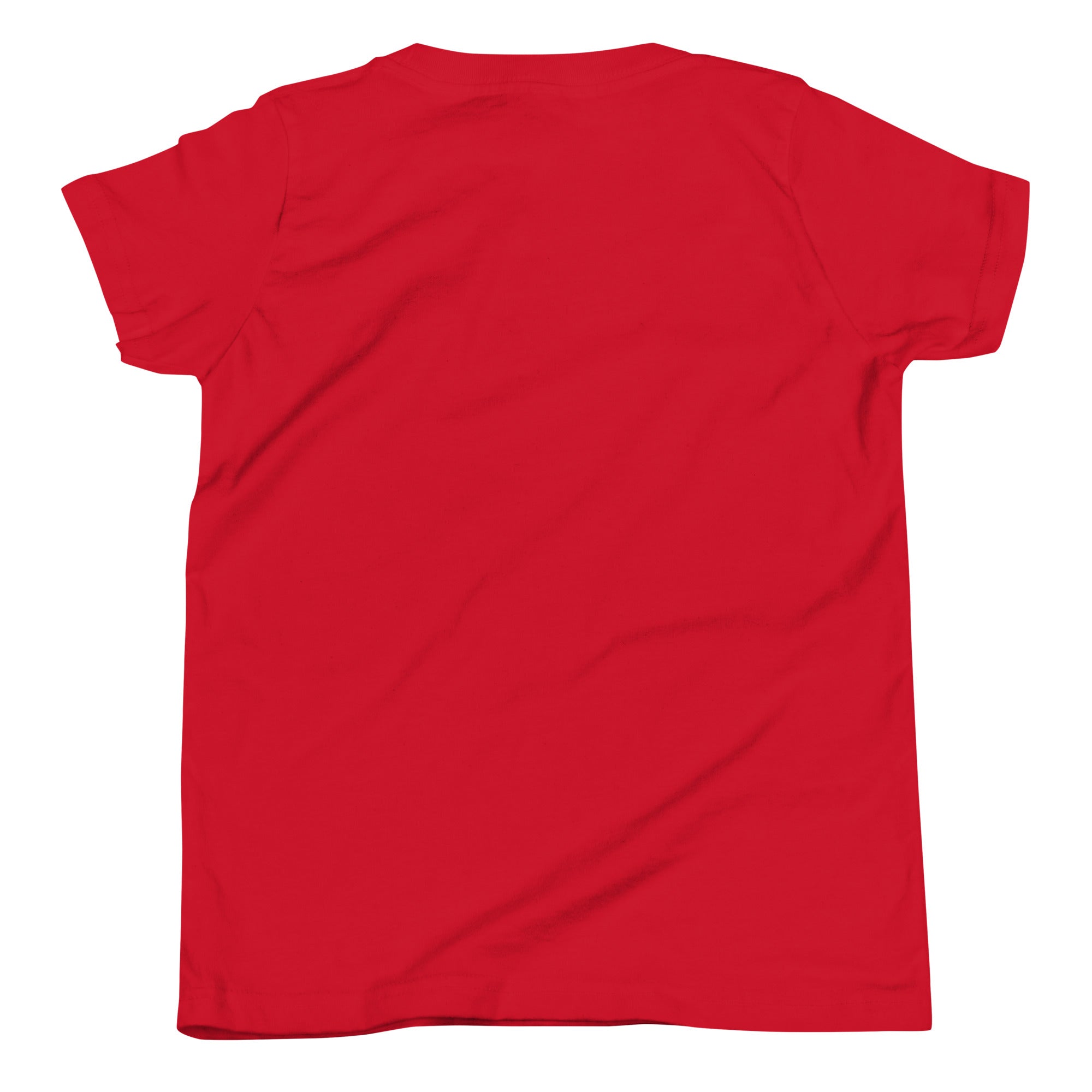 Flint Rogues RFC Youth Social Tee - Comfortable Cotton T-Shirt for Kids & Teens - Perfect for School, Sports & Casual Wear