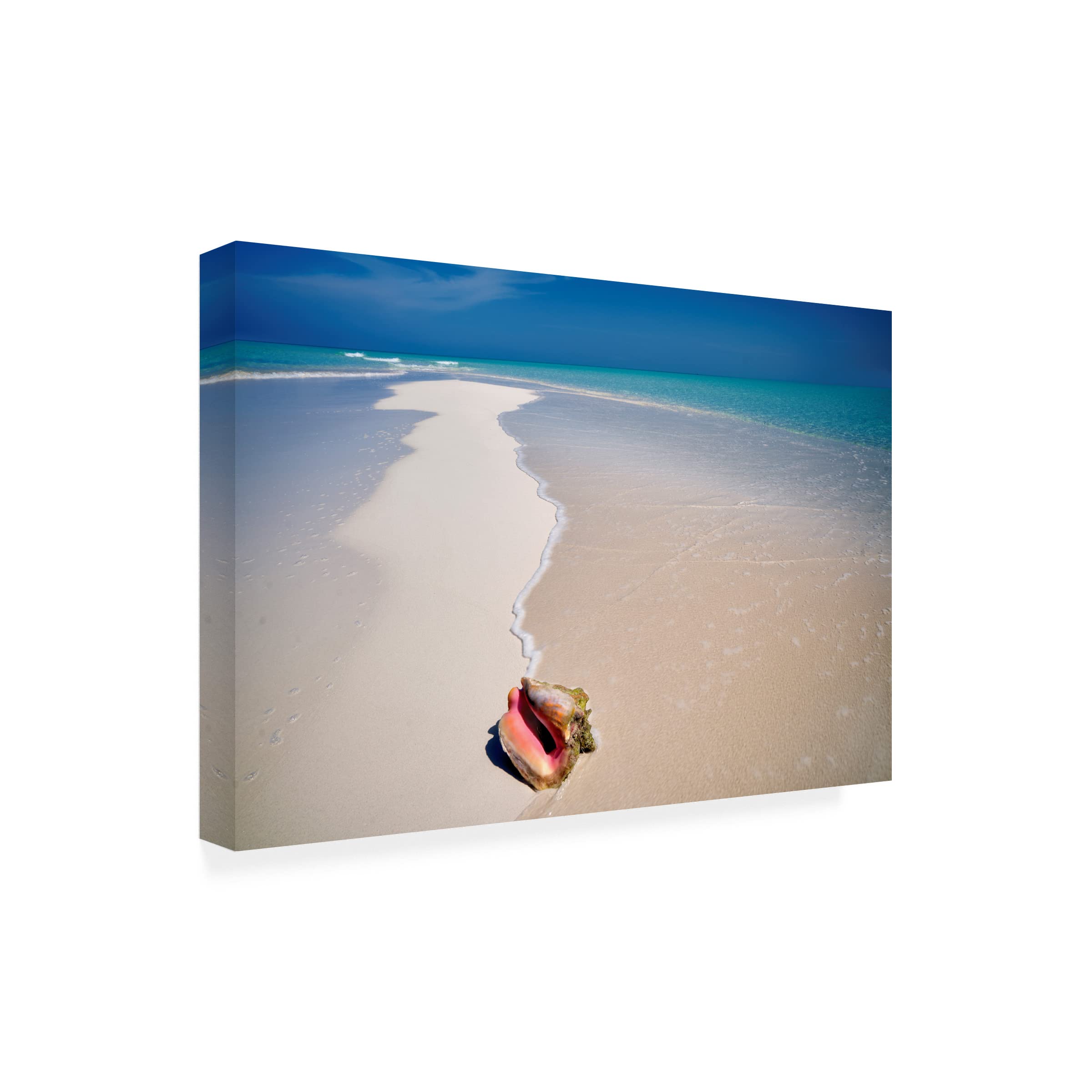 Dennis Frates 'Beach Treasures 6' Canvas Wall Art Print - Coastal Decor for Living Room, Bedroom & Office - Seascape Beach Painting for Home Decor
