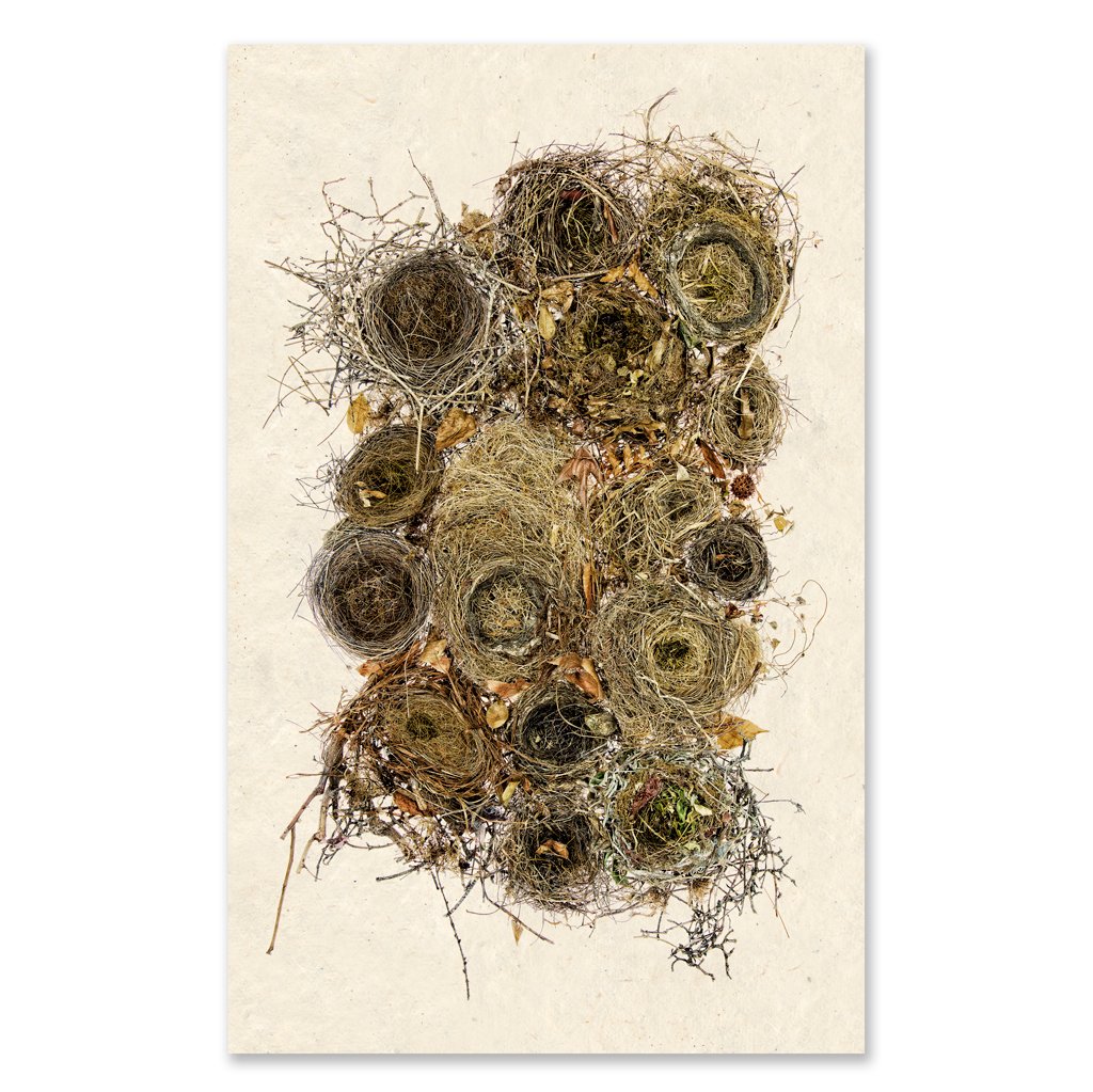 Collective Nests Grand Format Art Print - Large Wall Decor for Living Room, Bedroom & Office - Premium Canvas Painting for Home & Office Decor