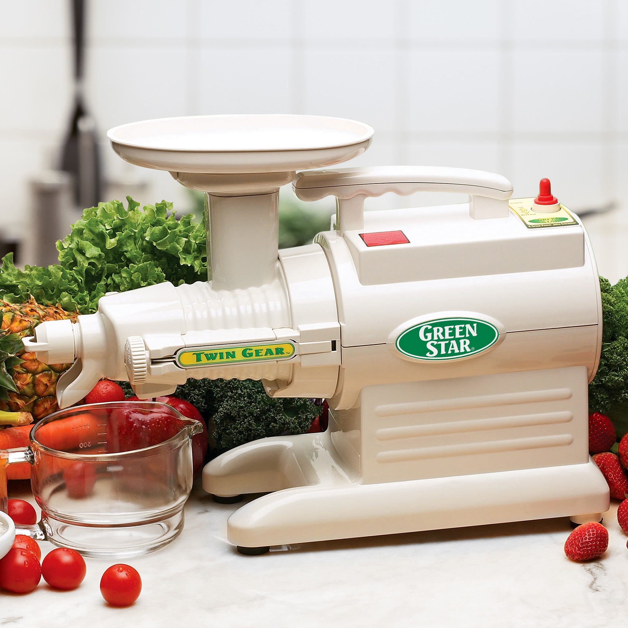 Greenstar® Original Basic Twin Gear Slow Masticating Juicer - Cold Press Juicer for Fruits & Vegetables - Perfect for Healthy Juicing, Detox & Raw Food Diets at Home
