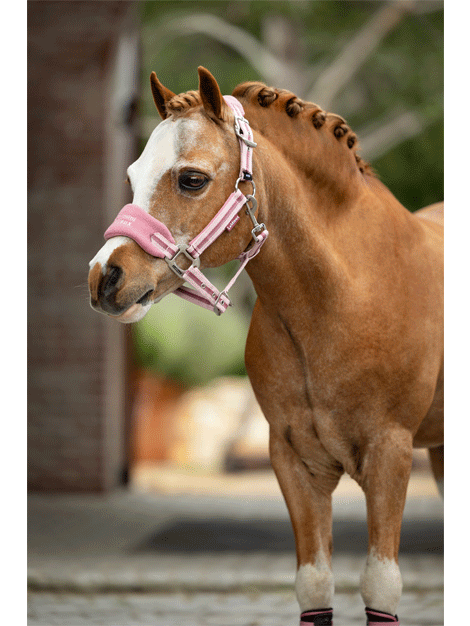 Premium Mini LeMieux Vogue Fleece Headcollar & Lead Rope Set for Horses - Soft & Comfortable Equestrian Training Gear - Perfect for Riding, Training & Show Preparation