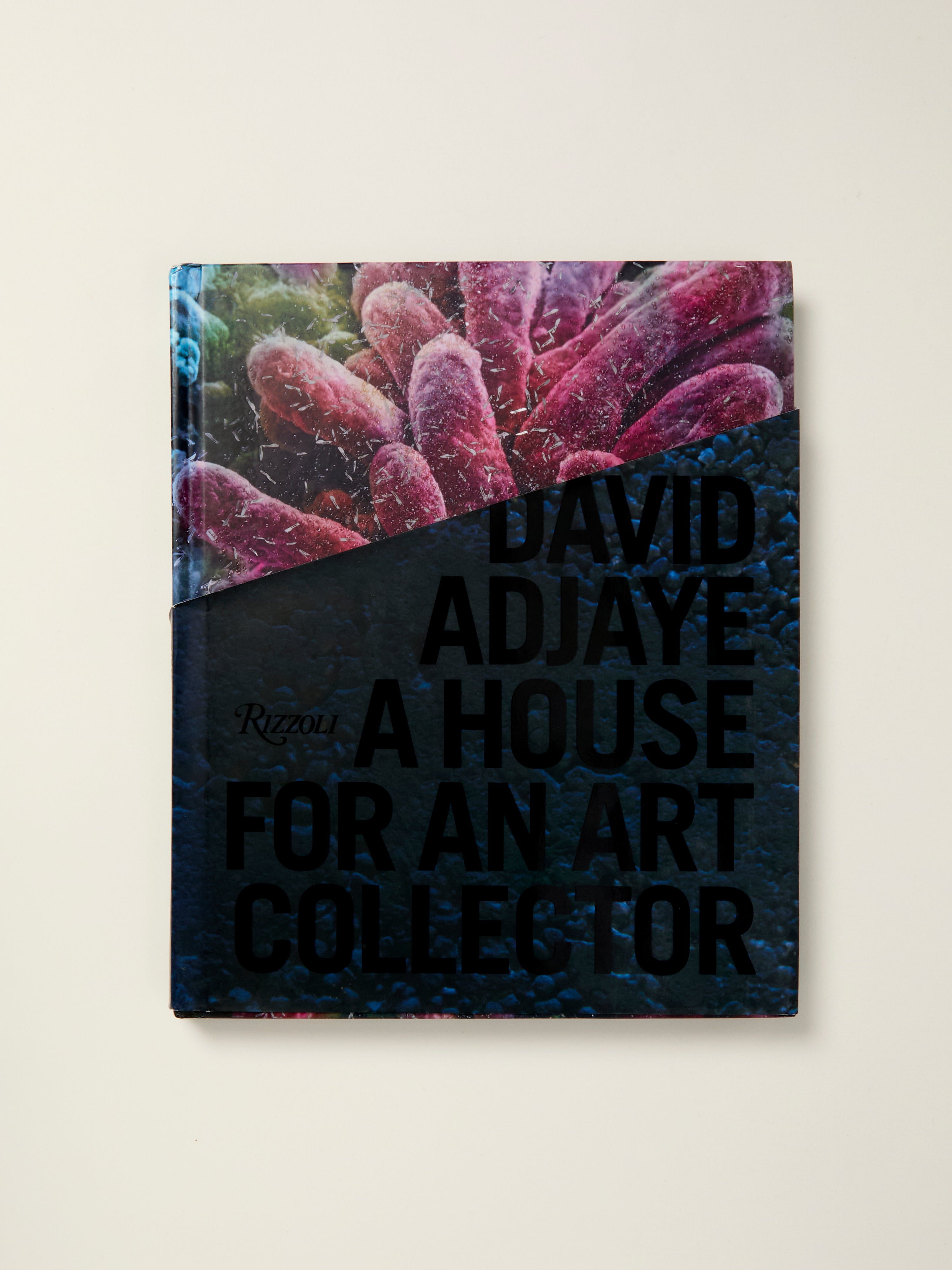 Luxury Modern Art Collector House - Elegant Display Home for Fine Art Collections | Perfect for Art Galleries, Private Exhibits & Upscale Living Spaces