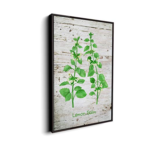 Plant-07