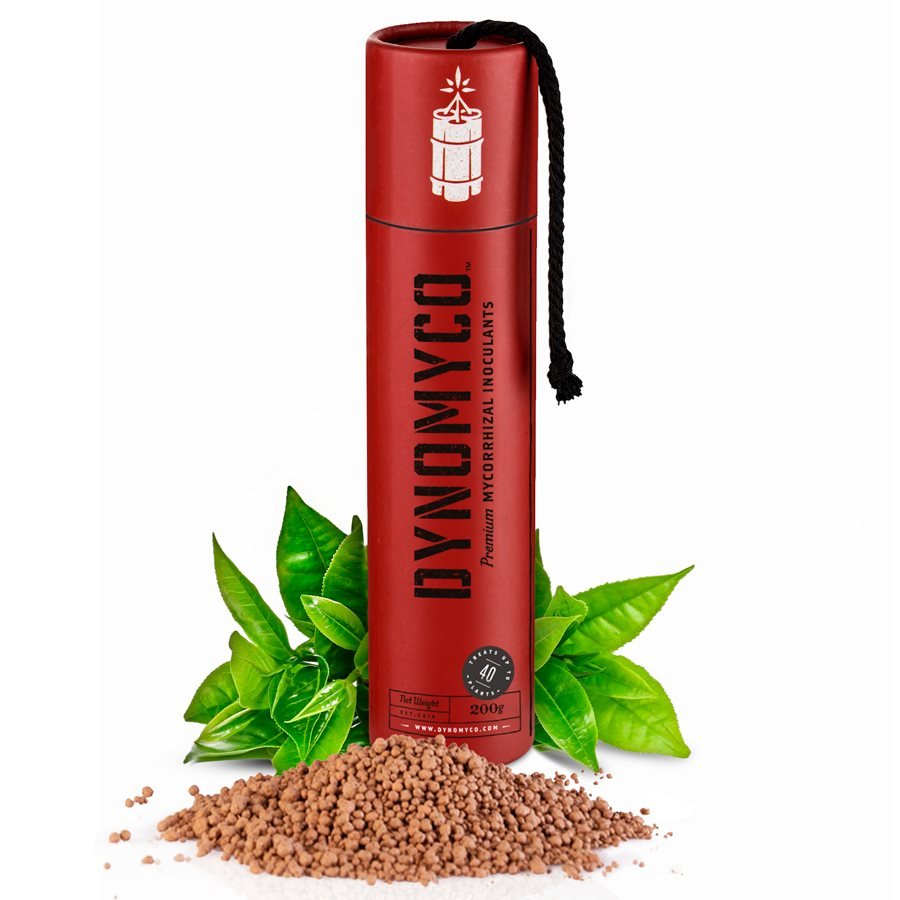 DYNOMYCO Premium Mycorrhizal Inoculant for Plants - Organic Root Booster & Nutrient Enhancer for Indoor/Outdoor Gardening, Hydroponics & Lawn Care