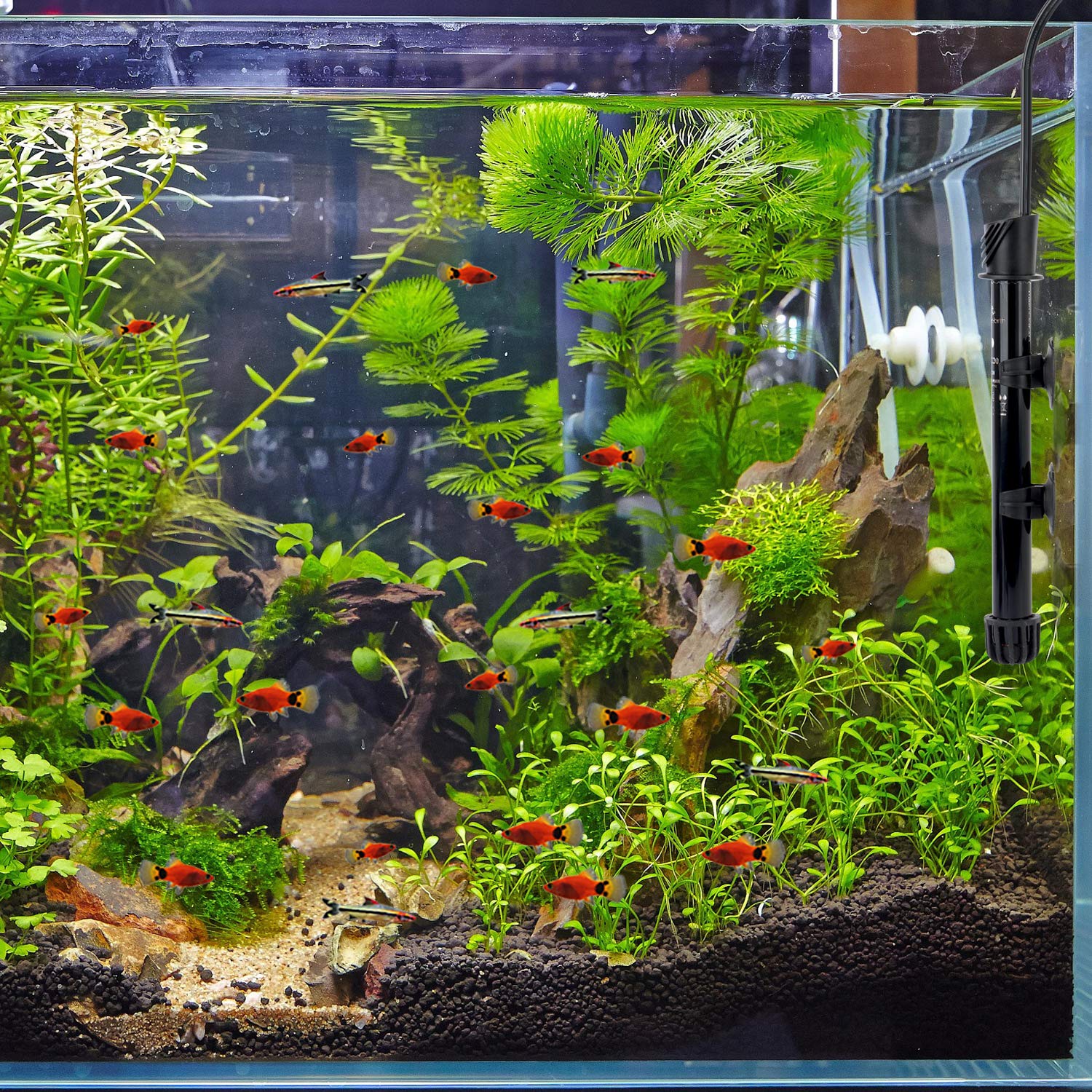 Water Rebirth HC100 Submersible Aquarium Heater 100W - Adjustable Fish Tank Heater for Freshwater & Marine Aquariums - Perfect for Tropical Fish Tanks, Turtle Tanks, and Aquatic Plants