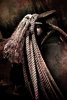 Ropes on a Saddle