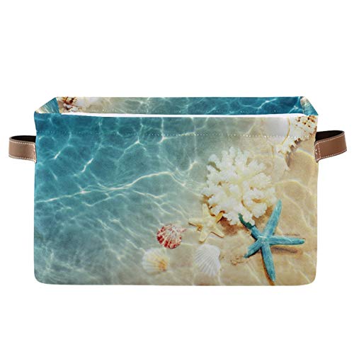 Sea Starfish