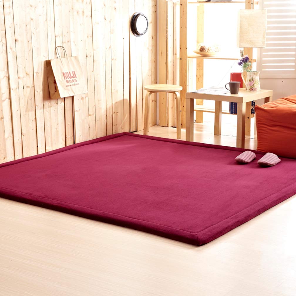 Premium Soft Coral Fleece Area Rug - 5'x8' Non-Slip Rectangular Carpet for Living Room, Bedroom, Nursery & Indoor/Outdoor Use - Modern Home Decor in Wine Red (Great for Kids Play Area & Cozy Spaces)