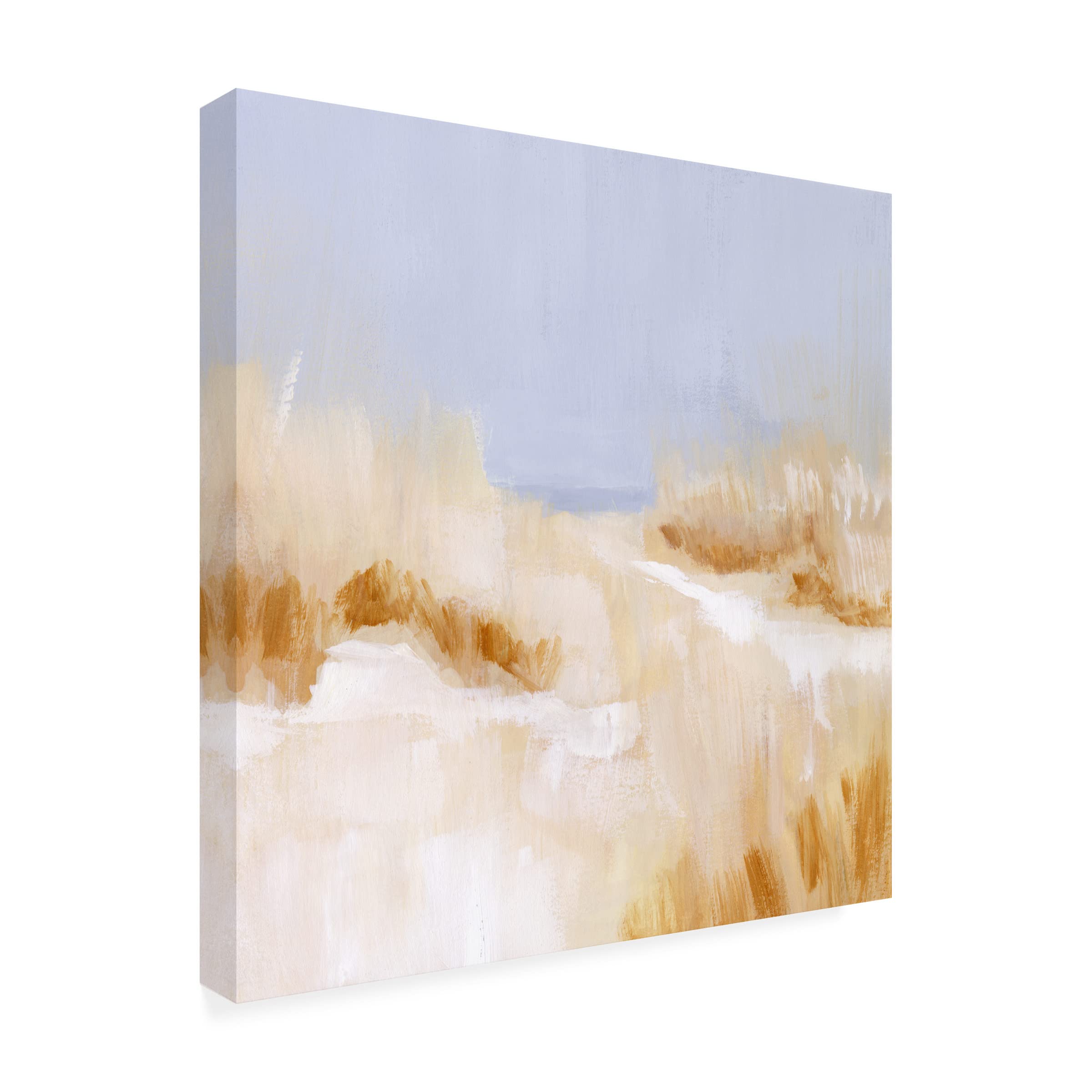 Victoria Borges 'Beach Grass Impression I' Canvas Wall Art Print - Coastal Home Decor for Living Room, Bedroom & Office | Trademark Fine Art Collection
