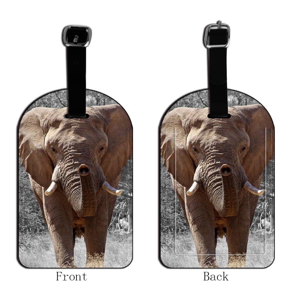 African Elephant Luggage Tag - Durable Suitcase Label & Travel Baggage Name Tag (1 Pack) - Perfect for Airports, Cruise Ships & Business Trips