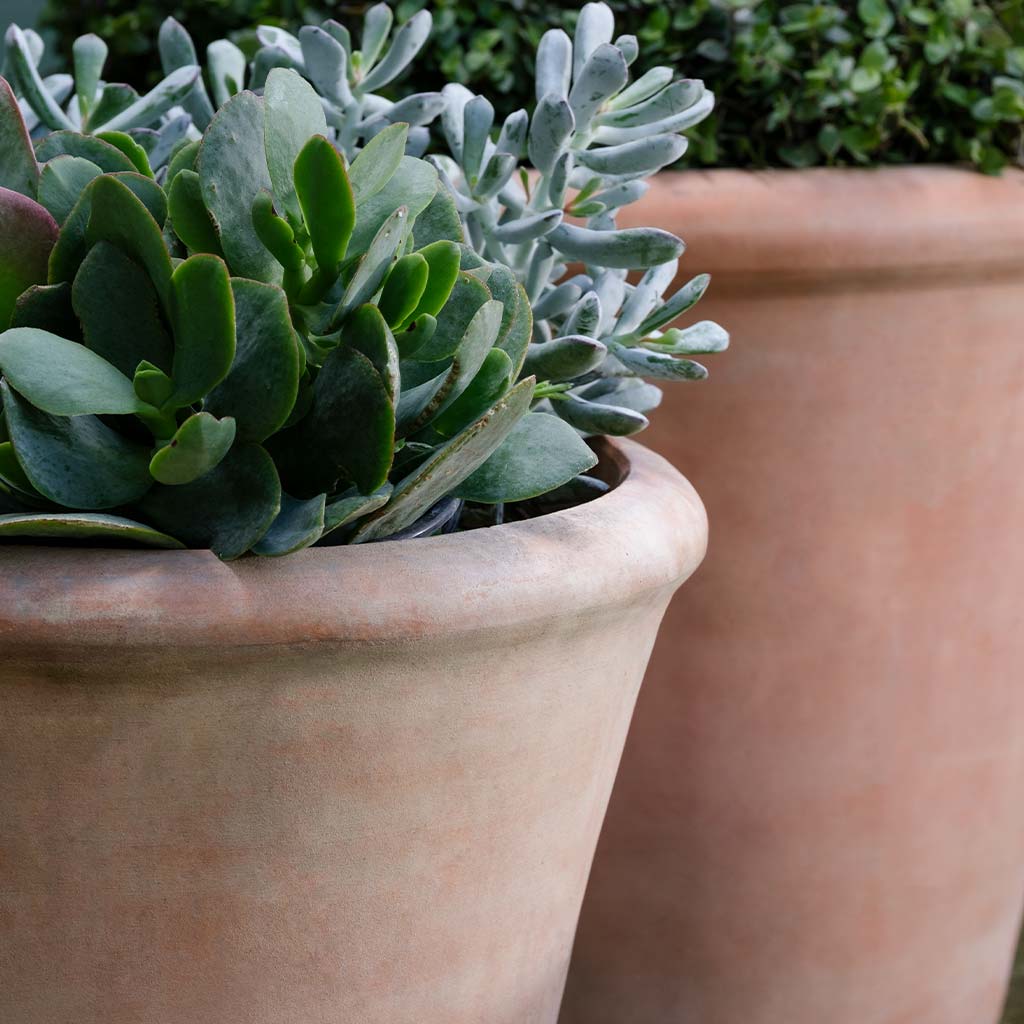 Campania International Cortona Terra Cotta Planters - Set of 3 for Indoor & Outdoor Garden Decor | Perfect for Patio, Balcony, and Home Décor