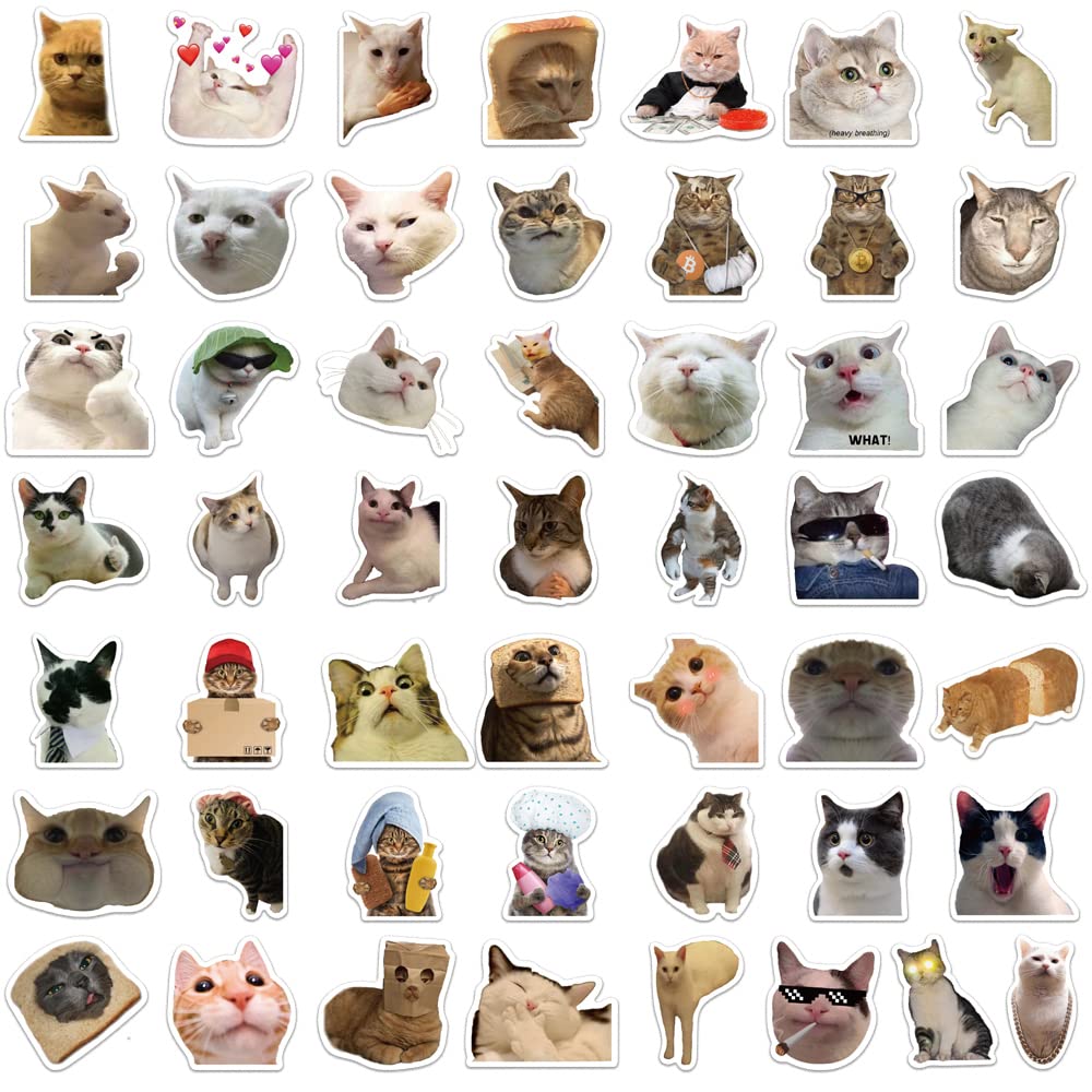 50Pcs Cute Cat Stickers - Waterproof Vinyl Decals for Water Bottles, Laptops, Phones & More | Trendy Aesthetic Stickers for Teens, Adults, Kids, Girls & Cat Lovers | Perfect for School, Office, Skateboards & DIY Crafts