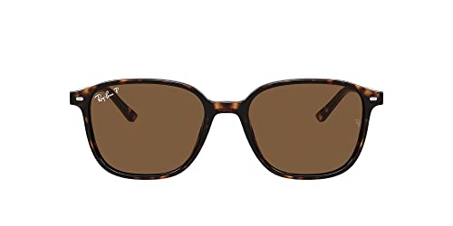 Havana/B-15 Brown