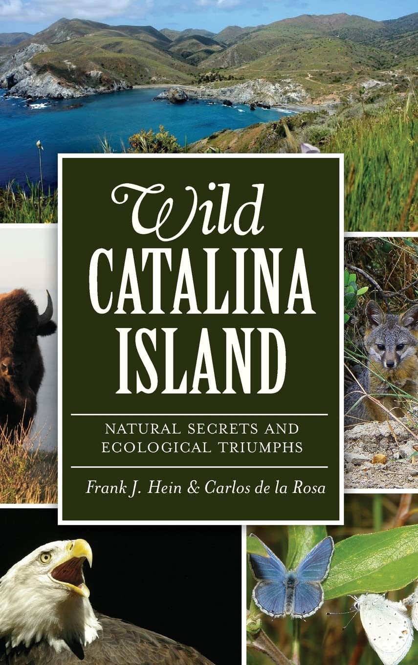 Wild Catalina Island: Natural Secrets & Ecological Triumphs | Explore Nature, Wildlife & Conservation | Perfect for Eco-Tourism & Outdoor Adventures