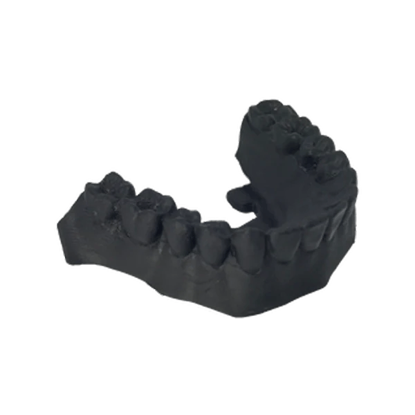 3D Printed Custom Teeth Models - High Quality Dental Replicas for Dentists, Students & Hobbyists | Perfect for Dental Education, Practice & DIY Projects