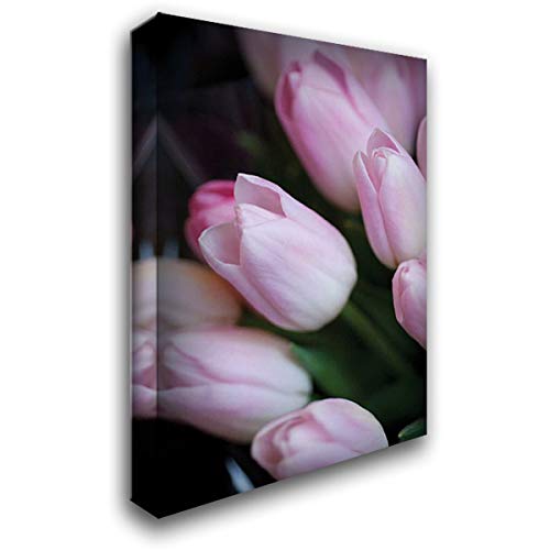 Berzel Erin 16x24 Gallery Wrapped Canvas Art - Soft Pink Tulips Floral Painting - Perfect for Living Room, Bedroom & Office Wall Decor