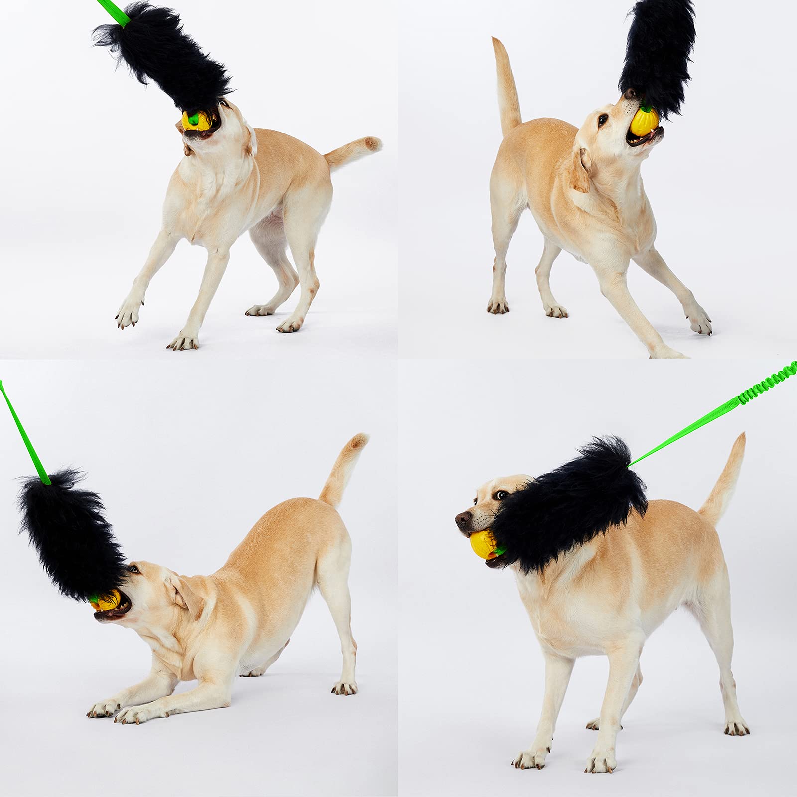 HOWGO Dog Rope Toy - 100% Natural Sheepskin Bungee Chaser with Authentic Sheep Smell, Durable Tug Toy for All Dog Breeds (Green, Short Without Ball) - Perfect for Interactive Play, Training, and Teeth Cleaning