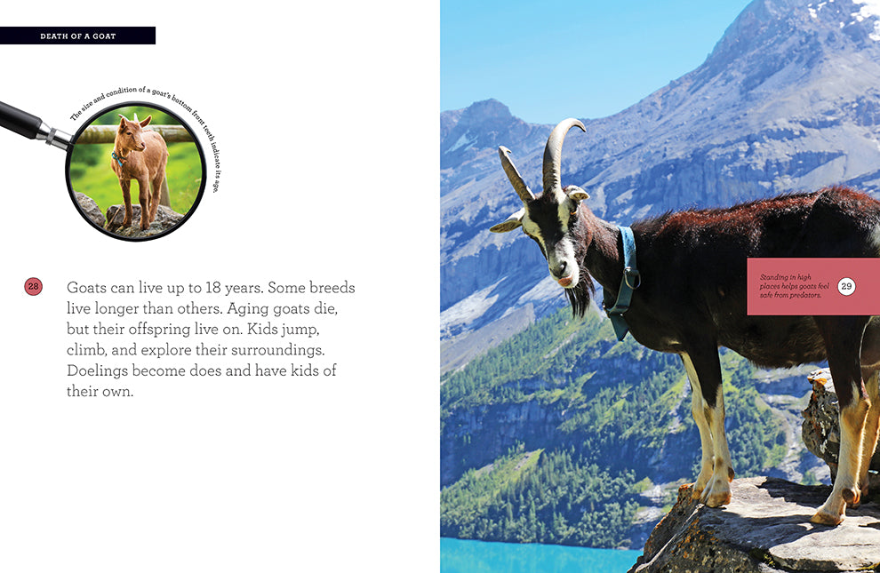 Goats 978-1-64026-231-7 - Best Goat Care Books for Farmers & Animal Lovers - Perfect for Homesteading, Veterinary Reference & Livestock Management