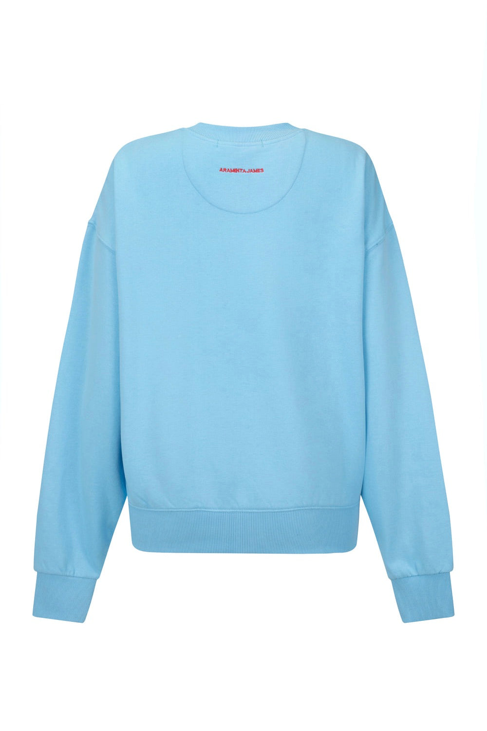 Bisous Ice Blue Sweatshirt for Women | Soft Fleece Pullover | Casual Winter Fashion | Perfect for Coffee Dates & Weekend Outings