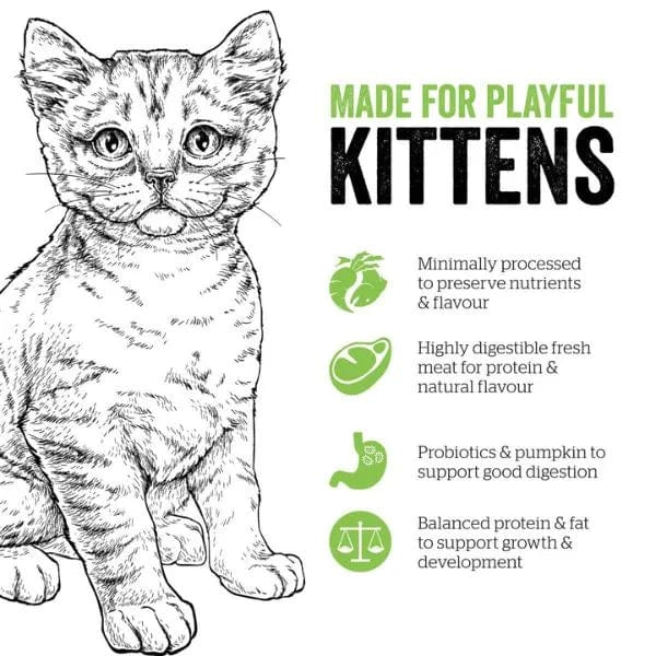 Now Fresh Grain-Free Turkey, Salmon & Duck Recipe Dry Kitten Food - 8lb Bag for Healthy Growth | Perfect for Indoor Kittens & Sensitive Stomachs