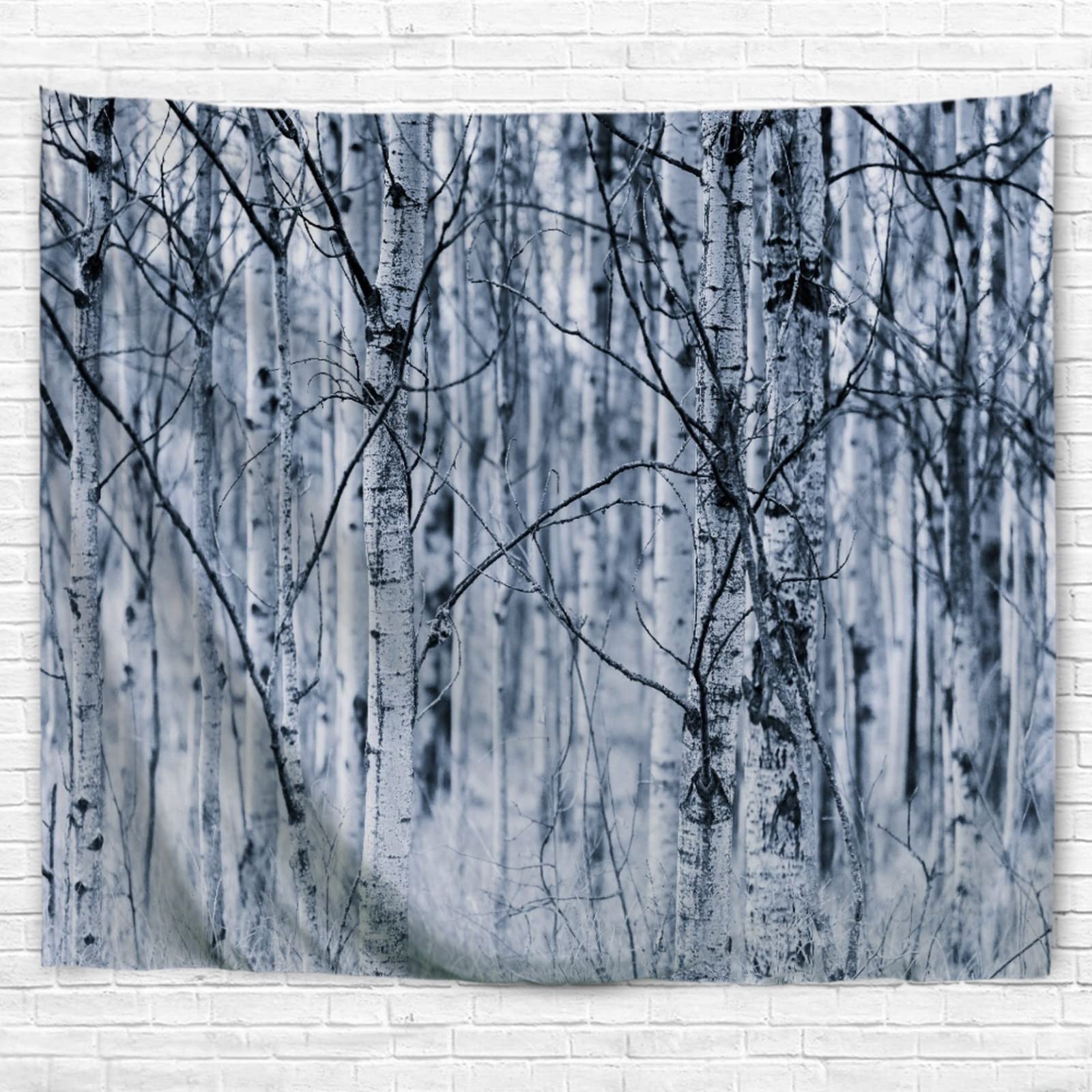 A.Monamour Black and White Aspen Forest Tapestry - Spring Tree Trunks Wall Hanging Decor (180x200cm) for Bedroom, Living Room, Dorm - Nature-Inspired Fabric Wall Art & Room Divider