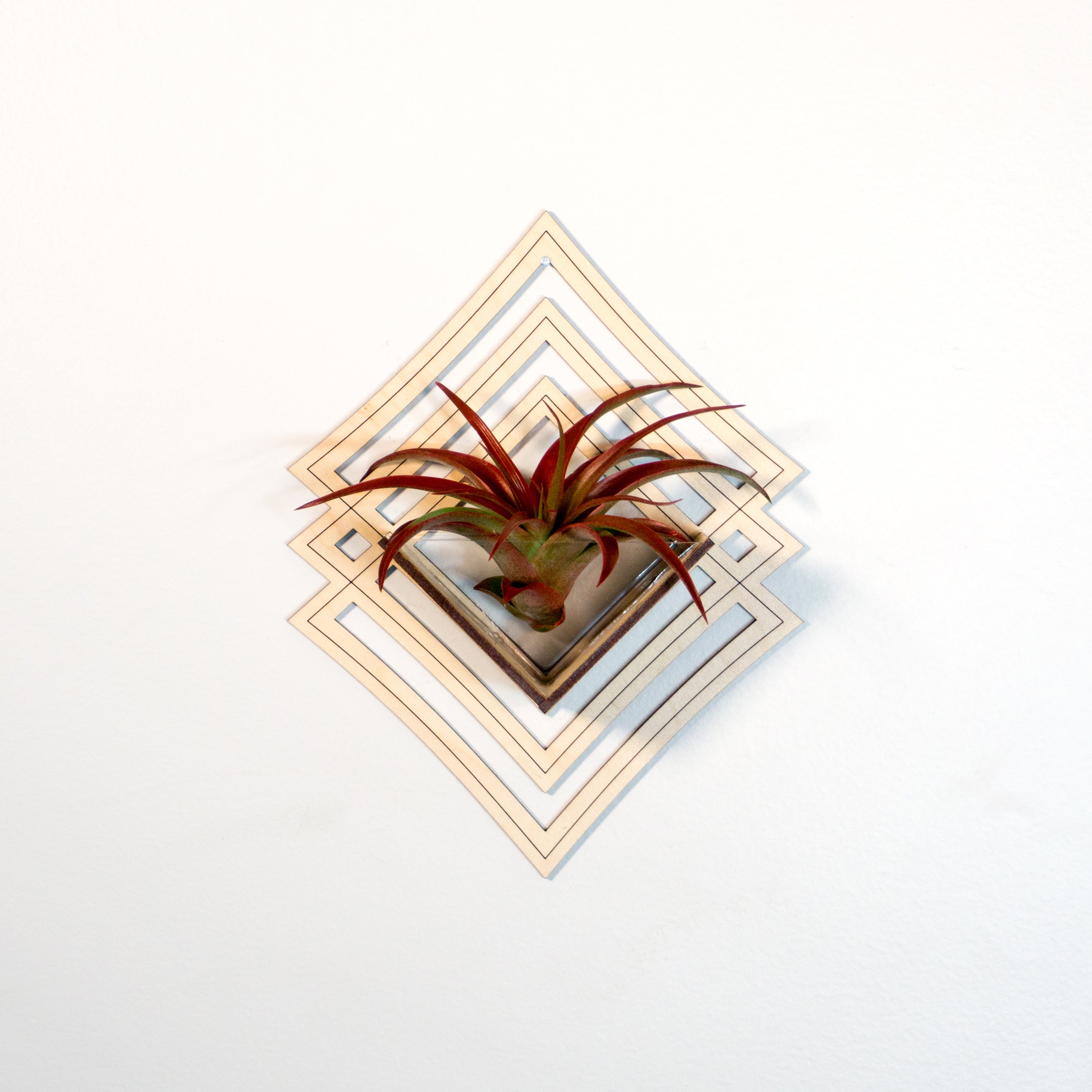 Modern Handmade Wood Wall Hanging Planter Set of 6 - Air Plant Holder & Mounted Display Hanger for Home Decor - Perfect Plant Lover Gift & Living Art for Living Room, Bedroom, or Office